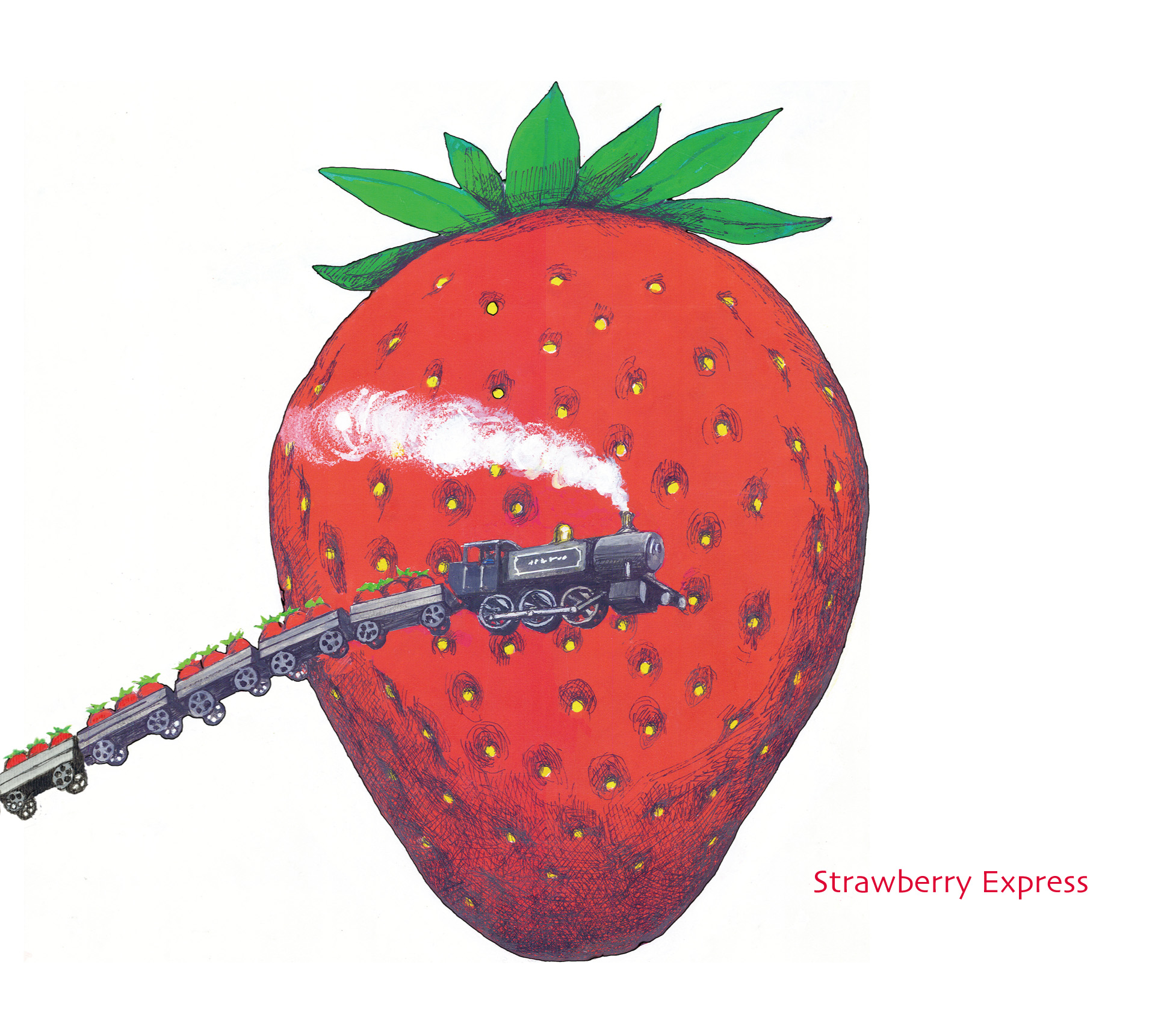 Strawberry Express album cover